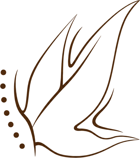 Olga Jóga — logo